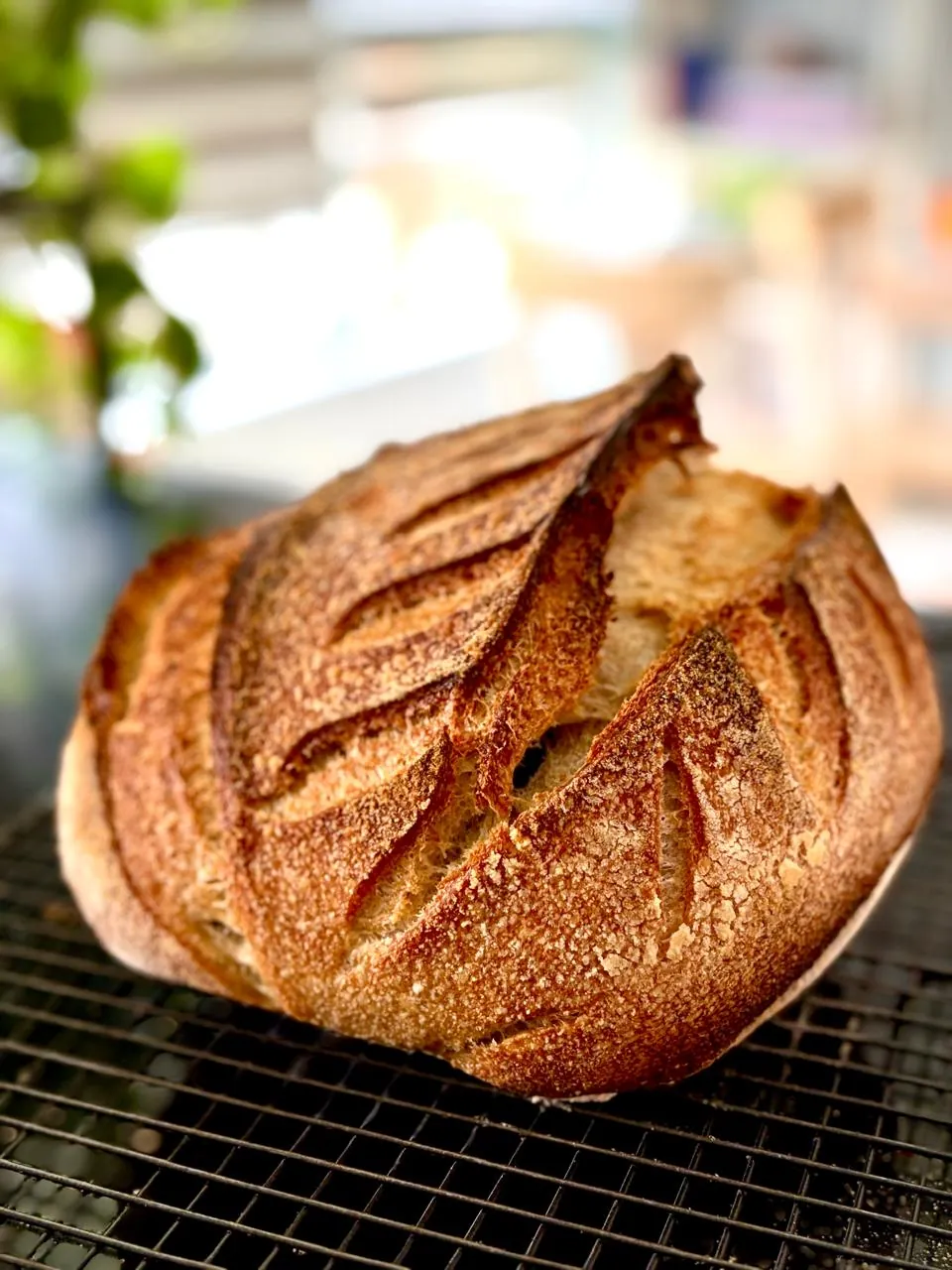 Detalle de nuestro pan de masa madre artesanal