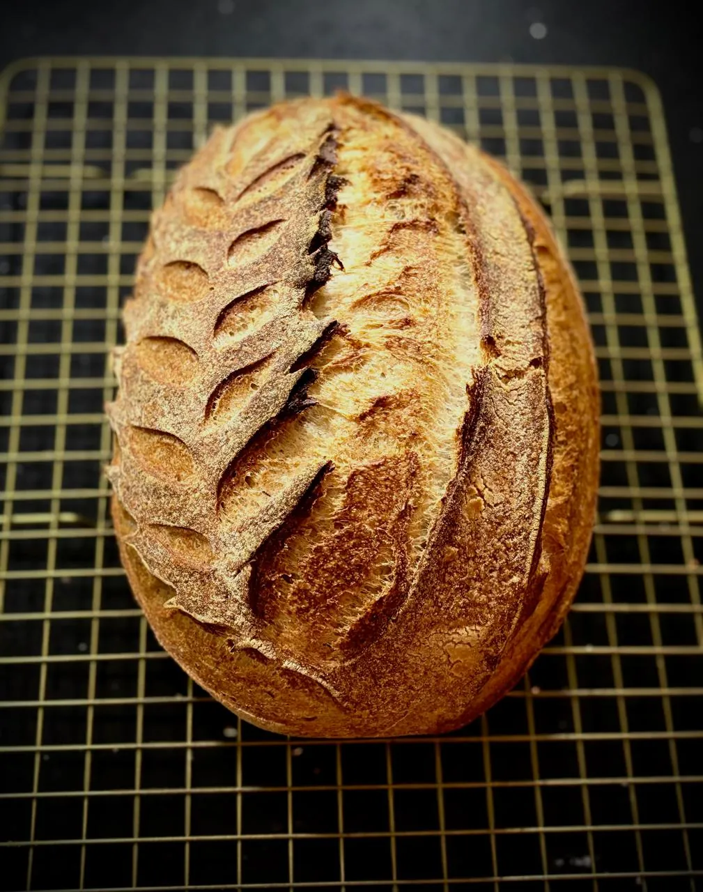 Masa Madre de Oveja Negra
