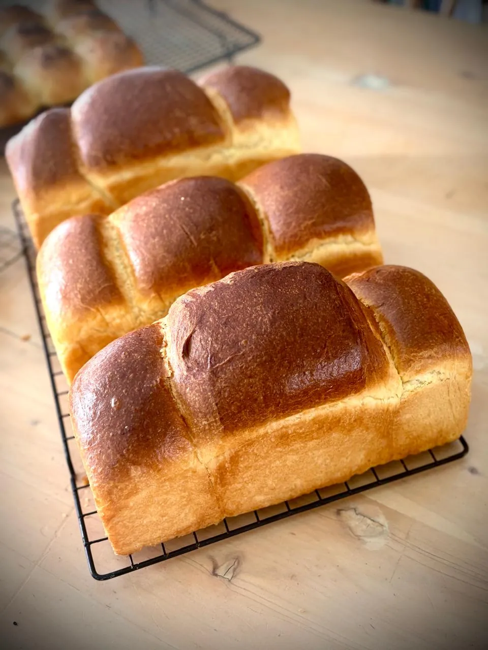 Pan Brioche de Oveja Negra